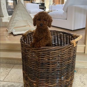 Meet your Posher, Halina